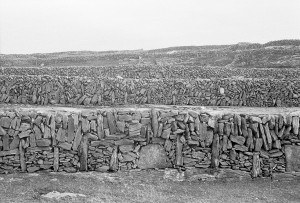 Aran stone walls 3